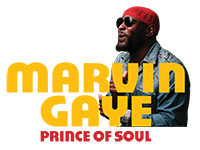 Marvin Gaye: Prince of Souls